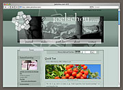 joelschou.com v3 icon